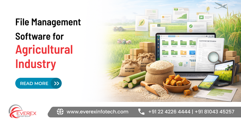 Business software solution improving workflow, productivity, and digital operations